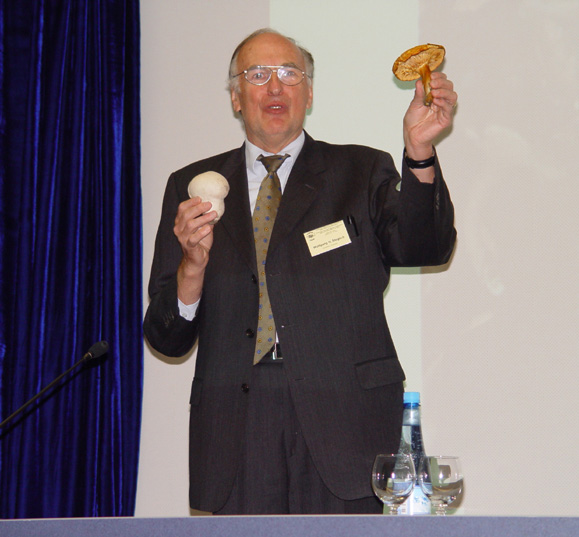 Wolfgang Steglich